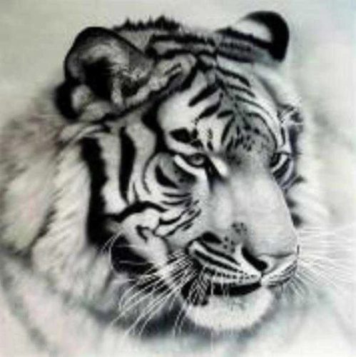 Gyémántszemes kirakó 20x20cm fehér tigris