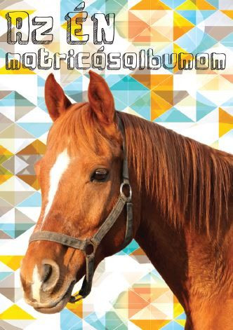 Üres matricagyüjtő album
