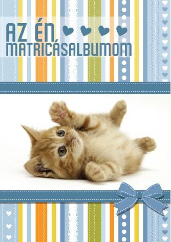 Üres matricagyüjtő album