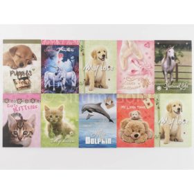 Jegyzettömb A/7, vegyes minta