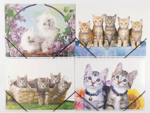 Gumis mappa, A/4, vegyes minta