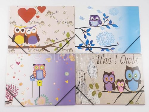 Gumis mappa, A/4, vegyes minta