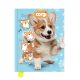 Emlékkönyv lakatos, sima 80 lapos Corgi Kutya