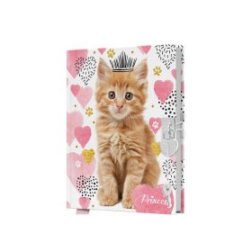 Emlékkönyv lakatos, sima 80 lapos Cica glitteres