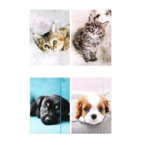 Gumis mappa A/4 állatos minta cica, kutya