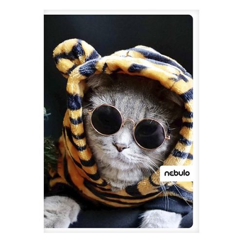 Spirálfüzet sima NEBULO L-Design A/4 70 lapos