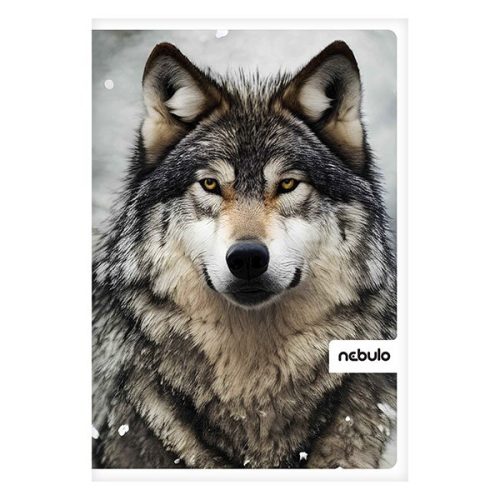 Spirálfüzet sima NEBULO Xtreme A/4 70 lapos