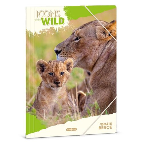 Gumis mappa ARS UNA A/4 Icons of the Wild-Lions