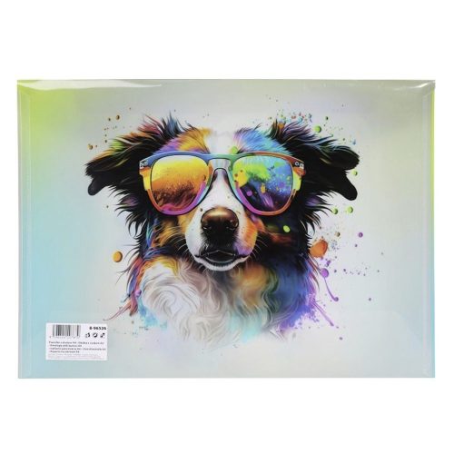 Irattasak OXY patentos A/4 Dog