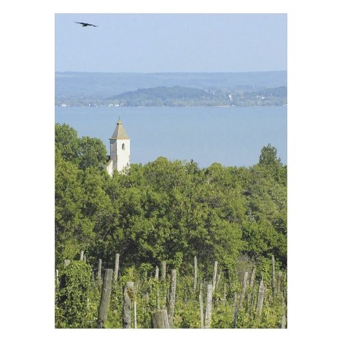 Falinaptár TOPTIMER T093 310x420mm álló Borvidékeink 2027