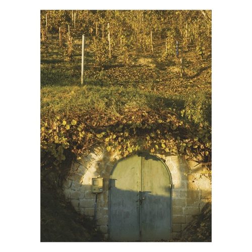 Falinaptár TOPTIMER T093 310x420mm álló Borvidékeink 2027