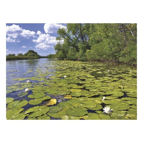 Falinaptár TOPTIMER T093 310x420mm álló Magyarország vizei  2027