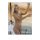 Falinaptár TOPTIMER T093 310x420mm álló Hot girls 2027