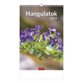 Falinaptár TOPTIMER T094 220x330mm álló Hangulatok 2027