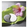 Falinaptár TOPTIMER T094 220x330mm álló Relax 2027