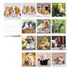 Falinaptár LIZZYCALENDAR 300x600mm álló Little Friends 2027