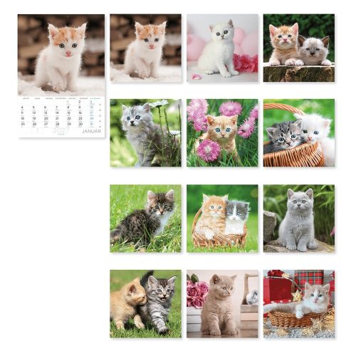 Falinaptár LIZZYCALENDAR B/4 álló spirálozott Cicák 2027