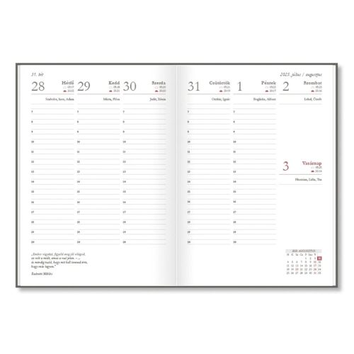 Tanári zsebkönyv PD CALENDAR papírborító A/5 Lilly 2026-2027