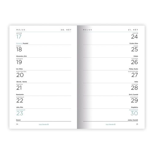 Határidőnapló LIZZYCALENDAR A/6 heti tűzött Amazeballs 2027