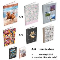 Butikkönyv, Beírókönyv